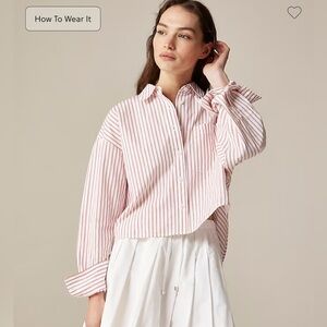 J. Crew Pink and White Striped Button Down Shirt
